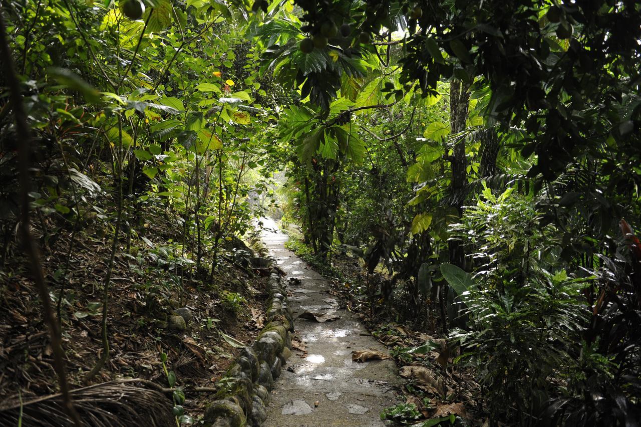 Omega Tours Eco-Jungle Lodge La Ceiba Buitenkant foto