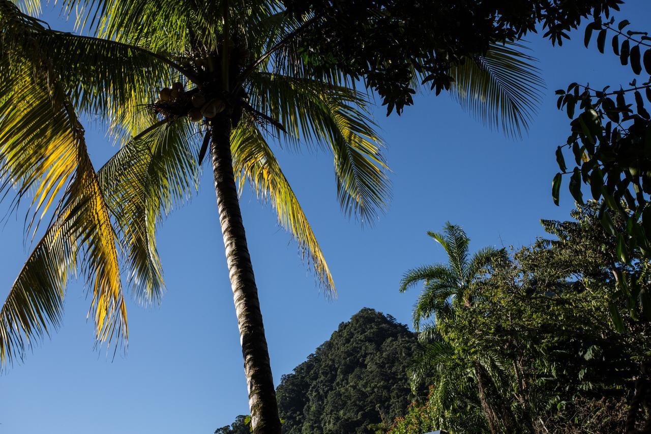 Omega Tours Eco-Jungle Lodge La Ceiba Buitenkant foto