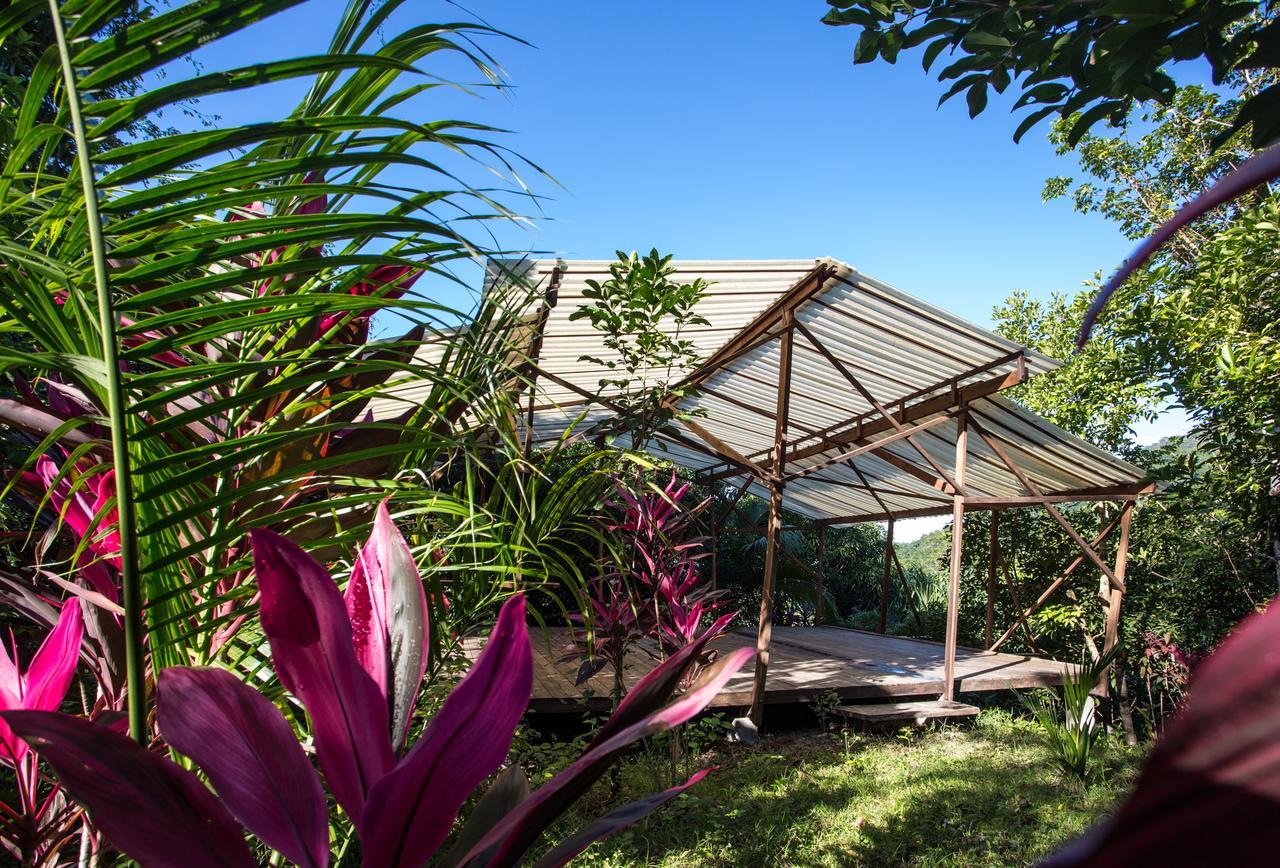 Omega Tours Eco-Jungle Lodge La Ceiba Buitenkant foto