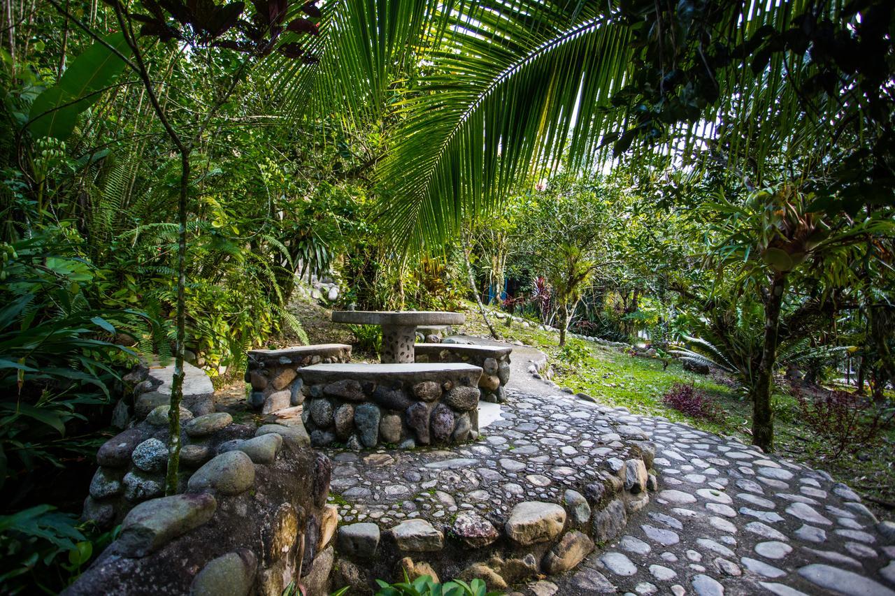 Omega Tours Eco-Jungle Lodge La Ceiba Buitenkant foto