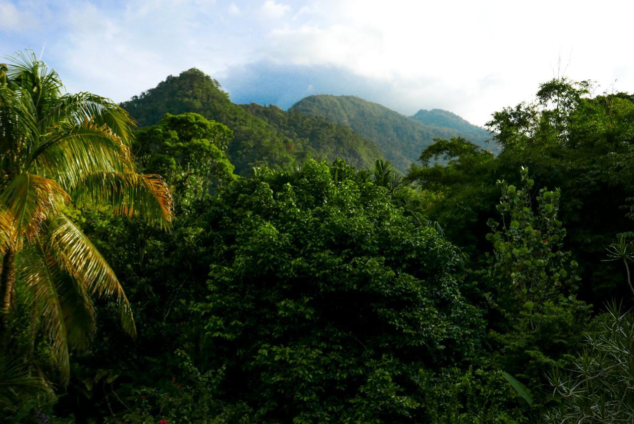 Omega Tours Eco-Jungle Lodge La Ceiba Buitenkant foto