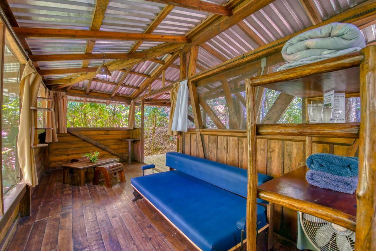 Omega Tours Eco-Jungle Lodge La Ceiba Buitenkant foto